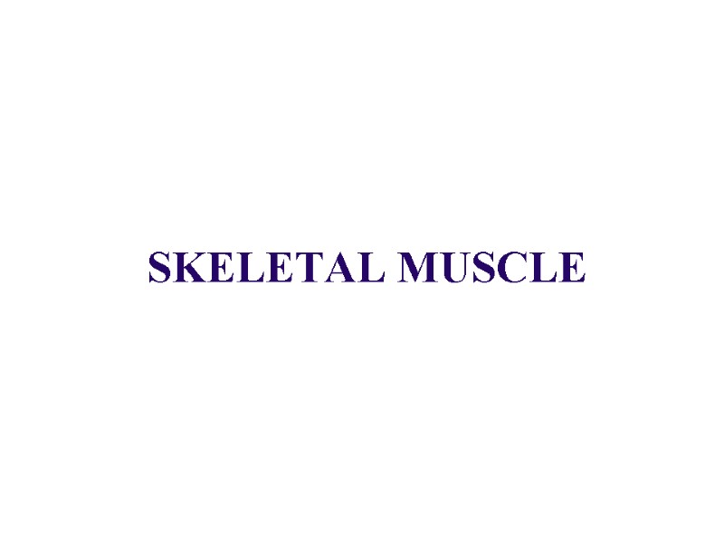 SKELETAL MUSCLE SKELETAL MUSCLE
